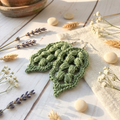 45. Crochet Leaf-Shaped Earrings & Patch Pattern