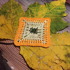 🕸️ Halloween Spiderweb Crochet Coaster – PDF Pattern